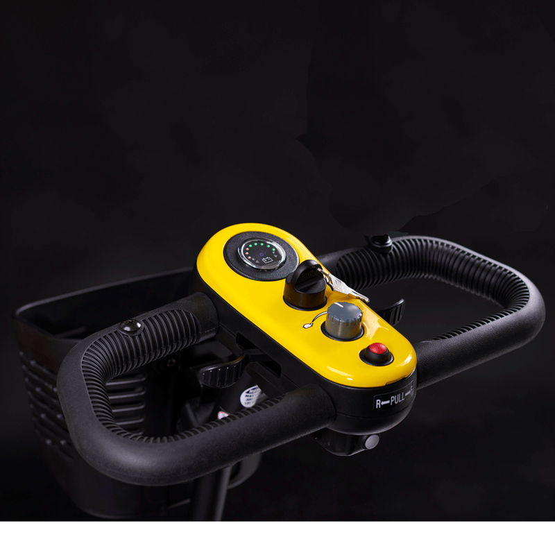 Load image into Gallery viewer, Golden Scooter - Buzz XL 3 (GB121)
