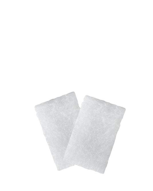 Transcend PureFresh Micro Filters - 2/Pack