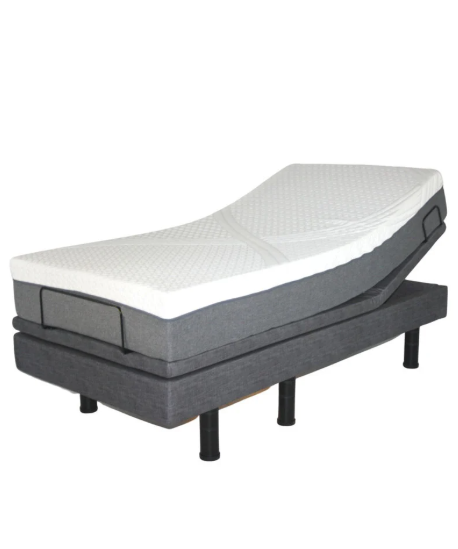 Golden Technologies Passport Twin XL Hospital Bed